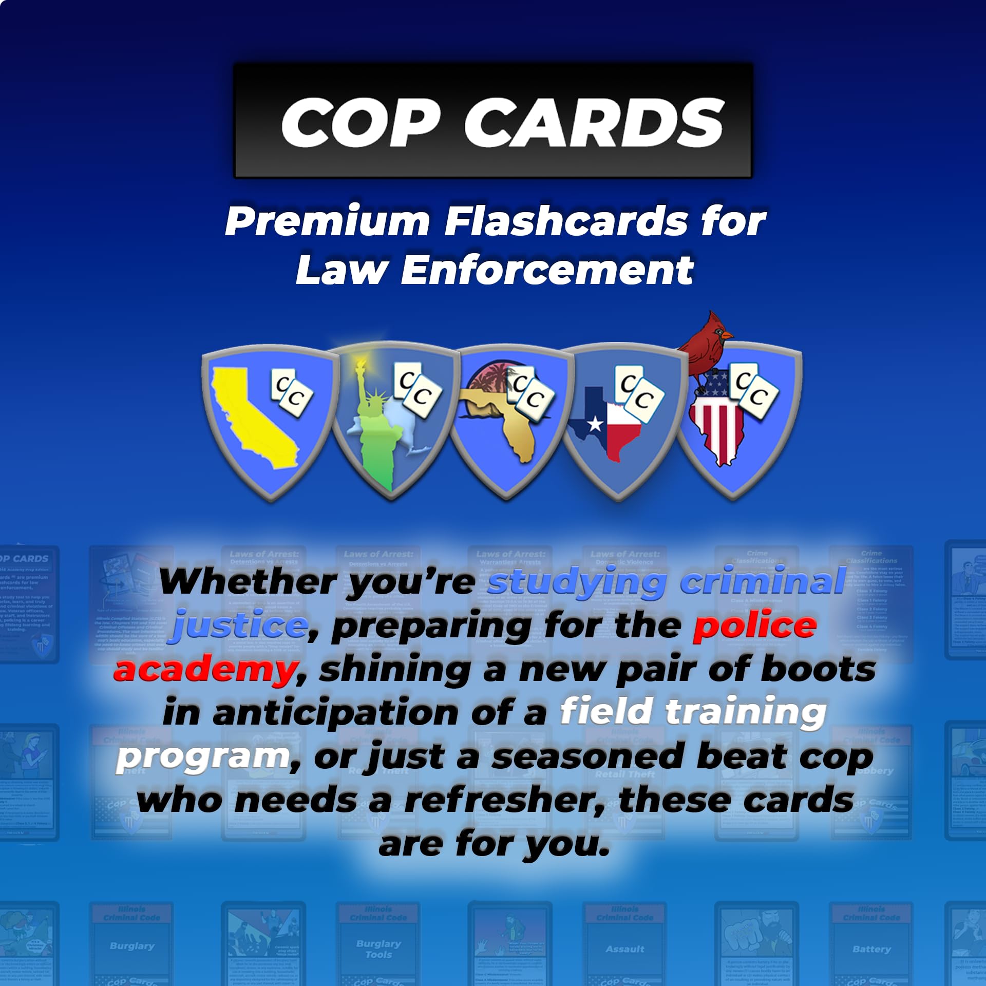 Amazon.com: Cop Cards: California Traffic Cop Edition - Premium